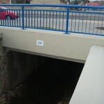 Mostn&iacute; ř&iacute;msa se z&aacute;bradl&iacute;m